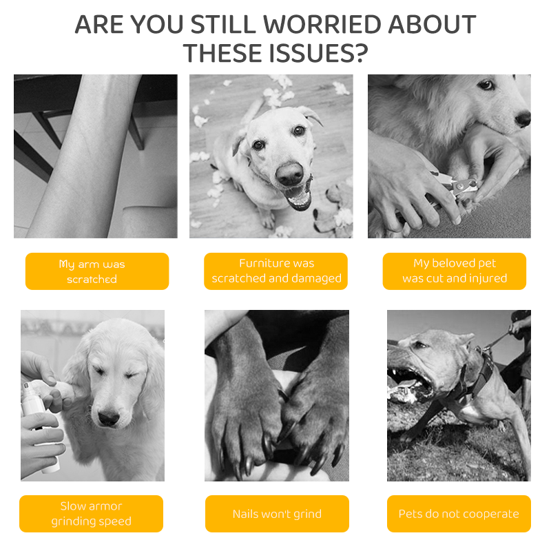 LILIPRO PG100BA Cordless 2 - Speed Nail Grinder for Dogs & Cats