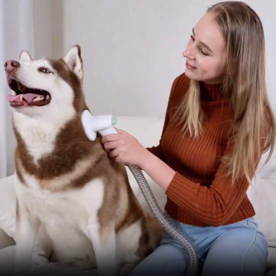 AIRROBO Dog & Cat Grooming Vacuum Kit PG50+
